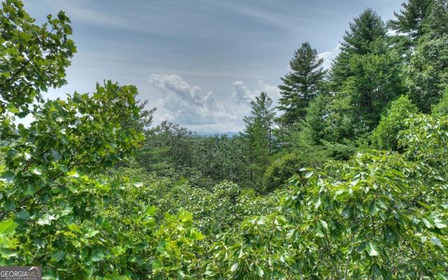 LT 22 Rolling Hills Drive 22, Morganton, GA 30560