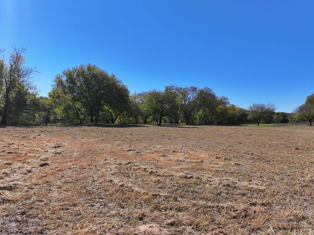 14923 Mitchell Bend Court, Granbury, TX 76048