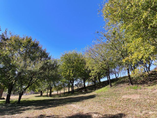 14923 Mitchell Bend Court, Granbury, TX 76048