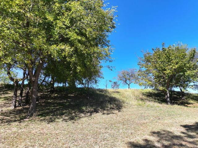 14923 Mitchell Bend Court, Granbury, TX 76048