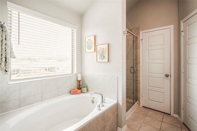 429 Camas Creek Lane, Magnolia, TX 77354