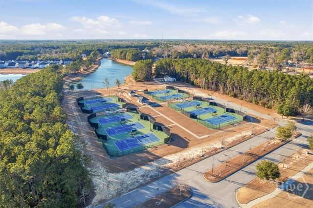 230 Lake Lily Drive, Richmond Hill, GA 31324