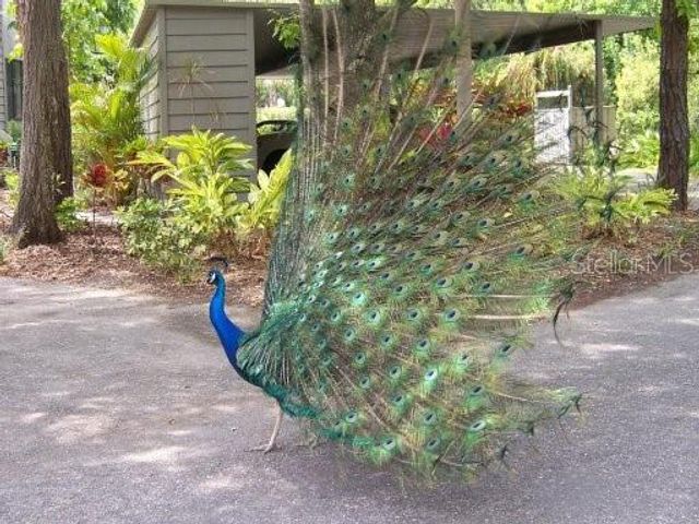 1508 PELICAN COVE ROAD GR233, Sarasota, FL 34231