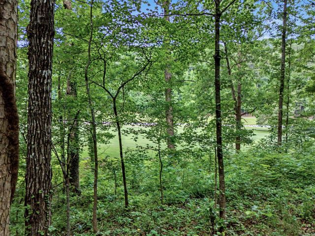 180 Cordero Lane, Hot Springs Village, AR 71909
