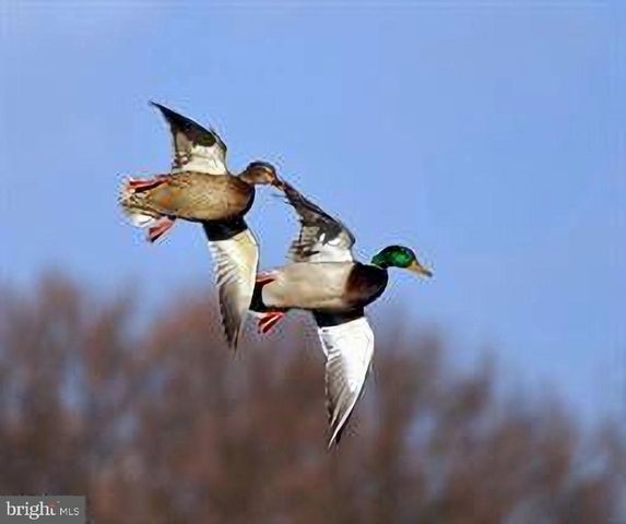 3152-B COVEWOOD CT, Falls Church, VA 22042