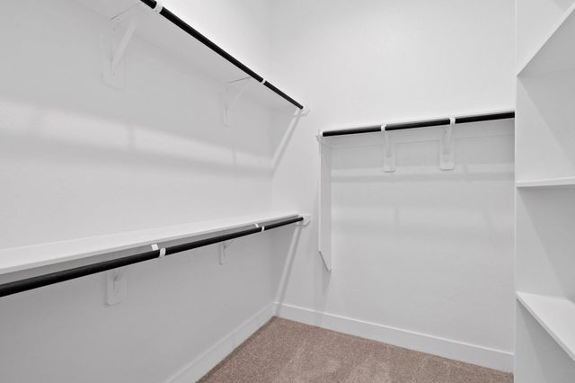 246 Congo Bay Circle, Willis, TX 77318