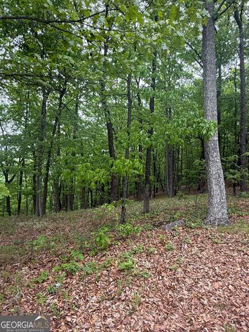 LOT 38 Mountainside Drive, Cleveland, GA 30528