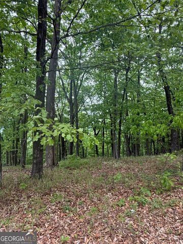 LOT 38 Mountainside Drive, Cleveland, GA 30528