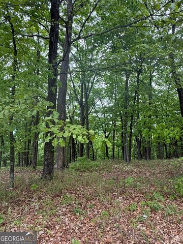 LOT 38 Mountainside Drive, Cleveland, GA 30528
