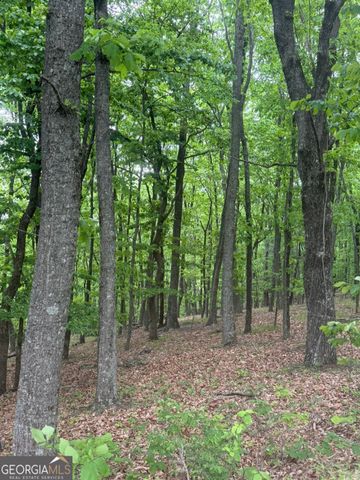 LOT 38 Mountainside Drive, Cleveland, GA 30528