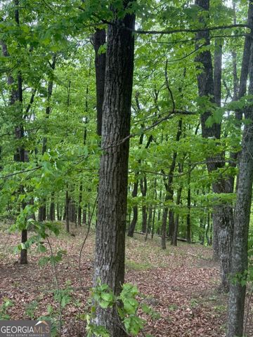 LOT 38 Mountainside Drive, Cleveland, GA 30528