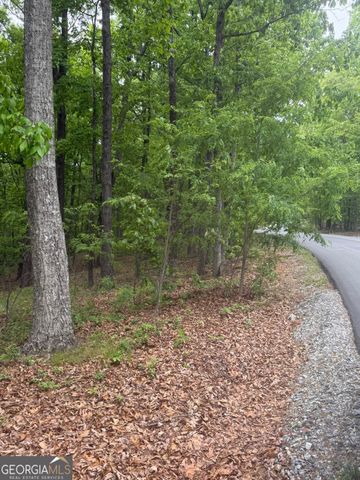 LOT 38 Mountainside Drive, Cleveland, GA 30528