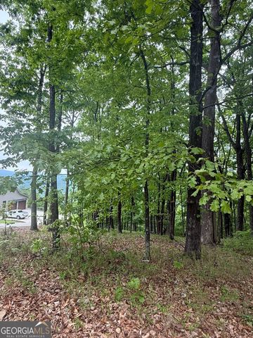 LOT 38 Mountainside Drive, Cleveland, GA 30528