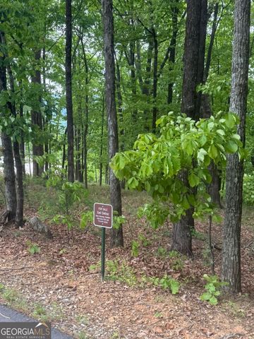 LOT 38 Mountainside Drive, Cleveland, GA 30528