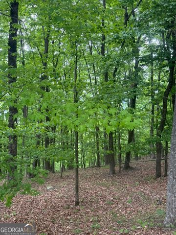 LOT 38 Mountainside Drive, Cleveland, GA 30528