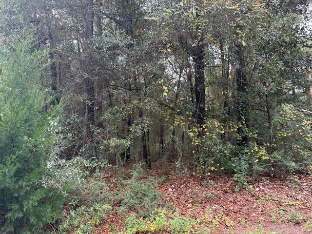 Lot 4 German Club Road, Defuniak Springs, FL 32433