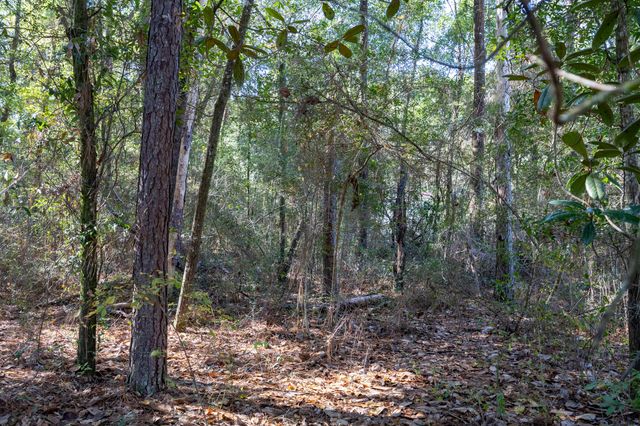 Lot 4 German Club Road, Defuniak Springs, FL 32433