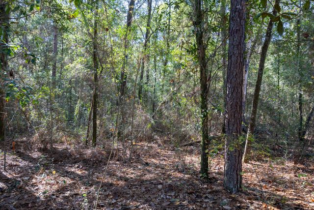 Lot 4 German Club Road, Defuniak Springs, FL 32433