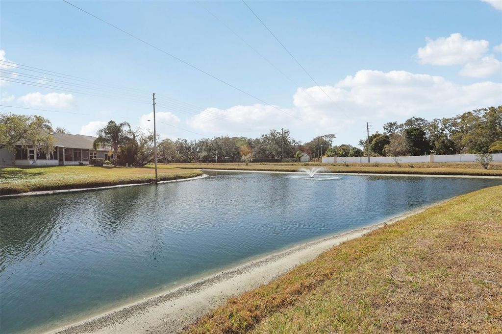 Image 27 of property listing at 28 BRIGTON COURT, Safety Harbor, FL 34695