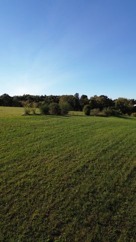 646 Barnes Mill Rd, Smithville, TN 37166