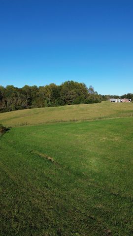 646 Barnes Mill Rd, Smithville, TN 37166