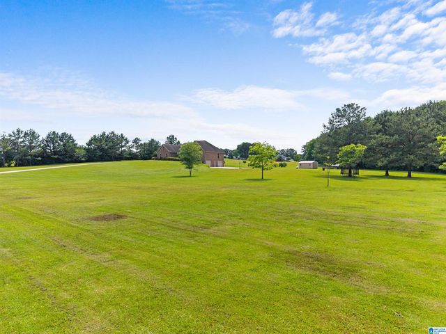 1847 COUNTY ROAD 411, Clanton, AL 35045