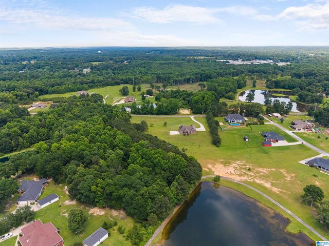 1847 COUNTY ROAD 411, Clanton, AL 35045