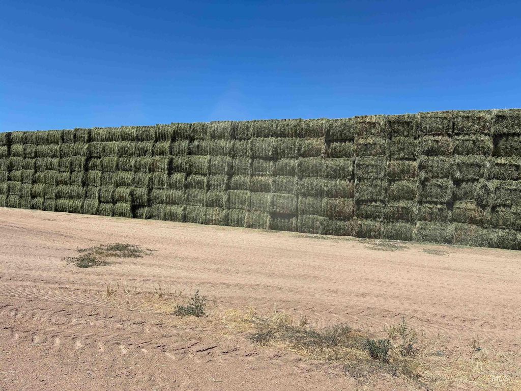 3850 Greenfield Road, Vale, OR 97918 photo 14