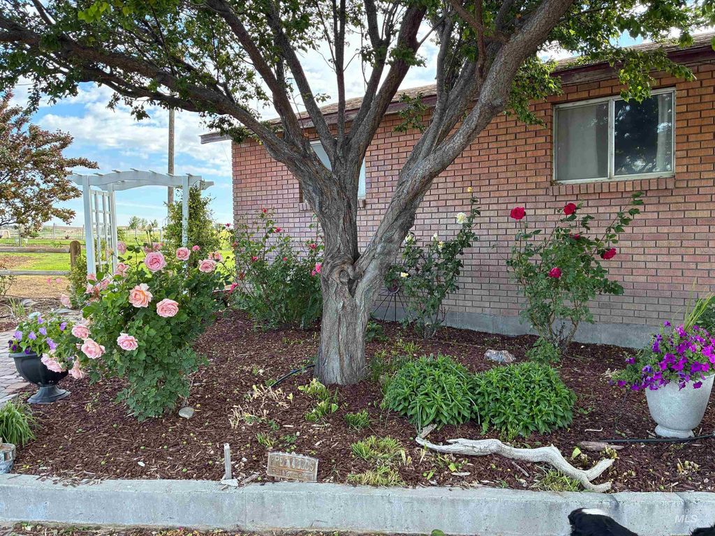 3850 Greenfield Road, Vale, OR 97918 photo 29