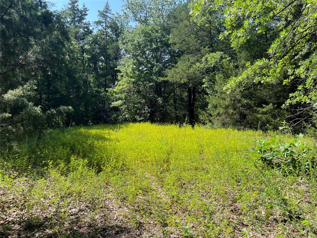9999 Fm 409, Monkstown, TX 75446