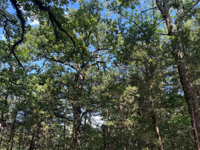 9999 Fm 409, Monkstown, TX 75446