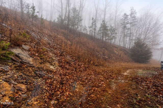 7538 Snake Hollow Road, Sneedville, TN 37869