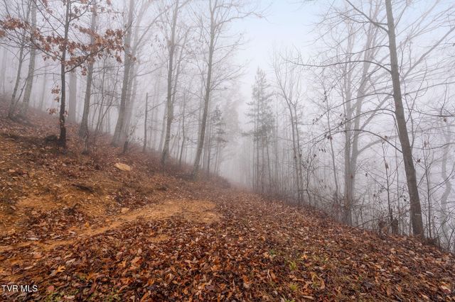 7538 Snake Hollow Road, Sneedville, TN 37869