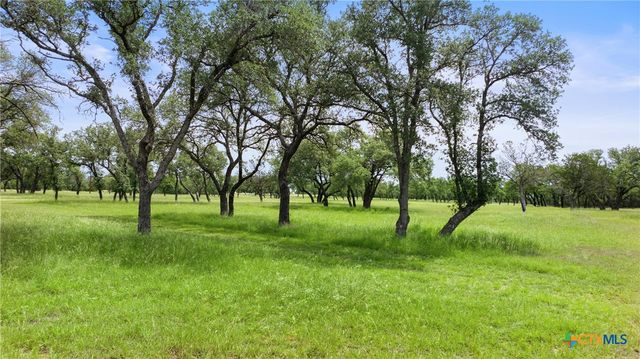 1241 Sandy Oaks Ranch Road, Johnson City, TX 78636