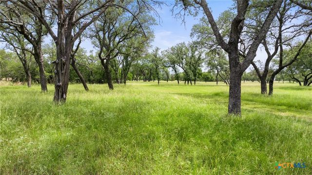 1241 Sandy Oaks Ranch Road, Johnson City, TX 78636