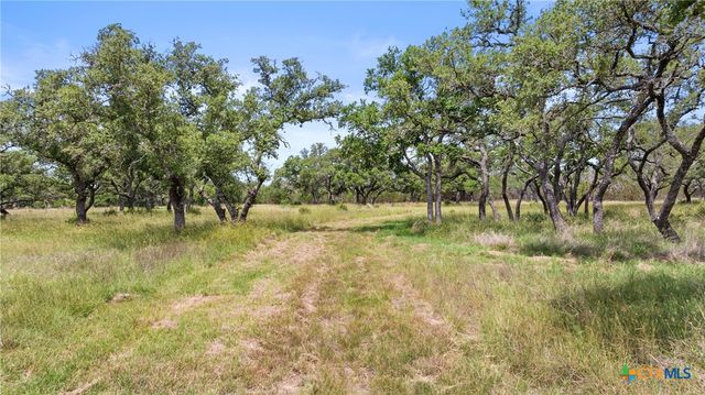 1241 Sandy Oaks Ranch Road, Johnson City, TX 78636