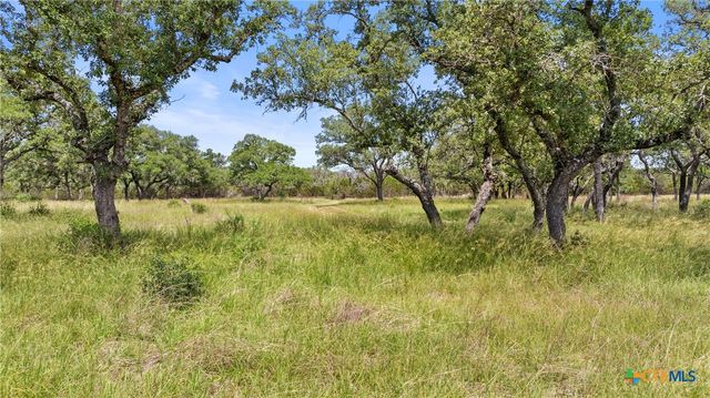 1241 Sandy Oaks Ranch Road, Johnson City, TX 78636