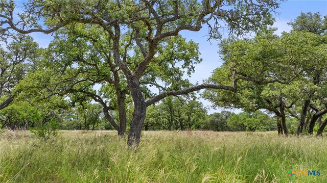 1241 Sandy Oaks Ranch Road, Johnson City, TX 78636