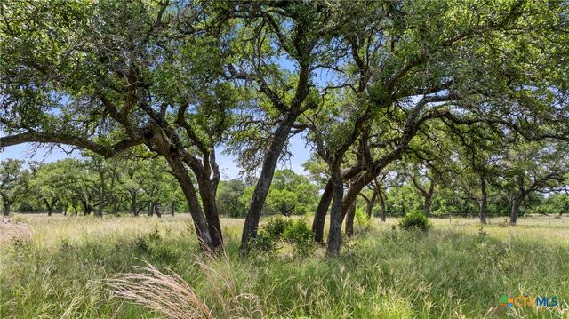 1241 Sandy Oaks Ranch Road, Johnson City, TX 78636