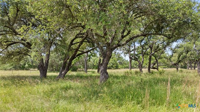 1241 Sandy Oaks Ranch Road, Johnson City, TX 78636