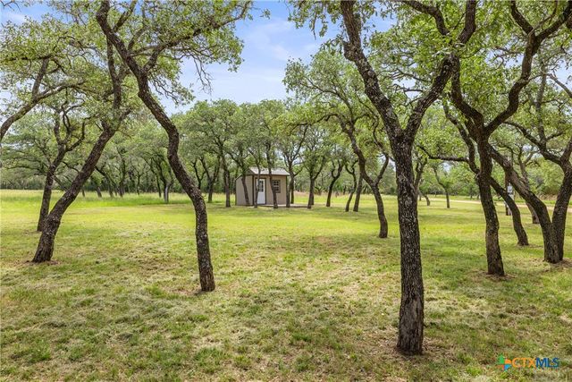 1241 Sandy Oaks Ranch Road, Johnson City, TX 78636