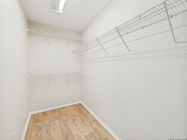 435 Abigail, Converse, TX 78109