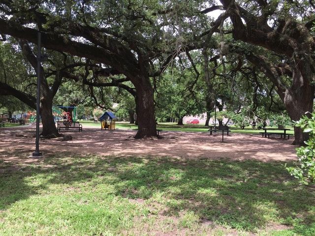1720 Elgin Street, Houston, TX 77004