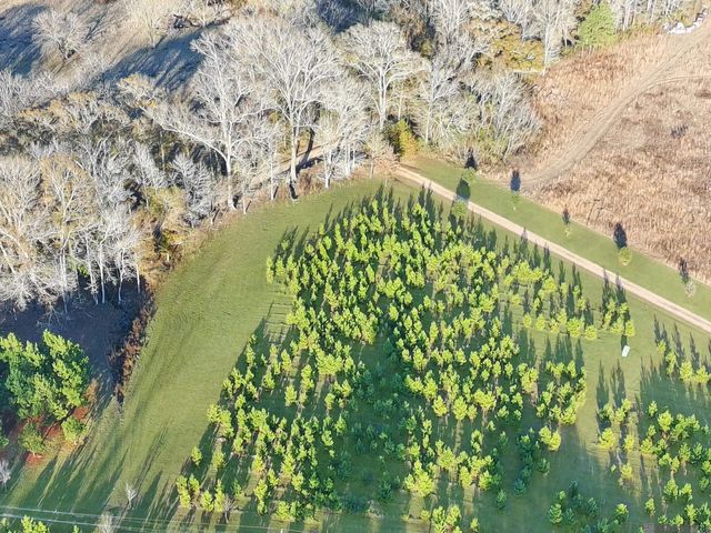 1558 Tommy Whitaker Rd, St Francisville, LA 70775