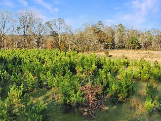 1558 Tommy Whitaker Rd, St Francisville, LA 70775