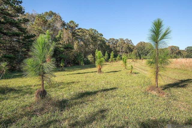 1558 Tommy Whitaker Rd, St Francisville, LA 70775