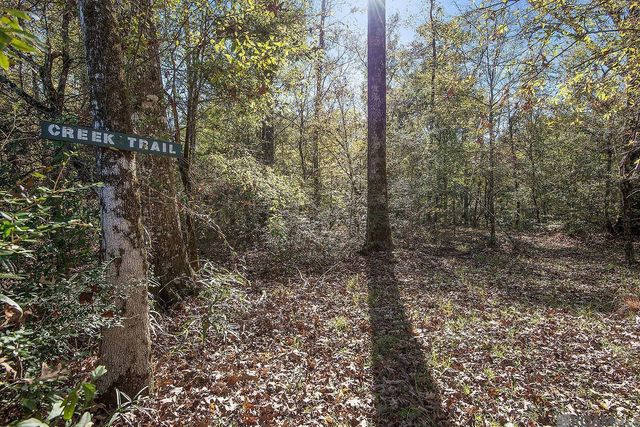 1558 Tommy Whitaker Rd, St Francisville, LA 70775