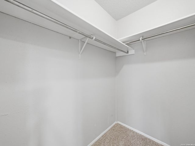 4403 MISTY SPRINGS DR, San Antonio, TX 78244