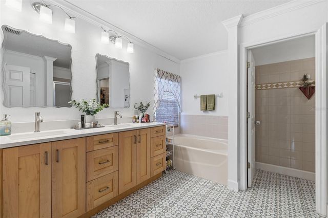 19408 SANDY SPRINGS CIRCLE, Lutz, FL 33558