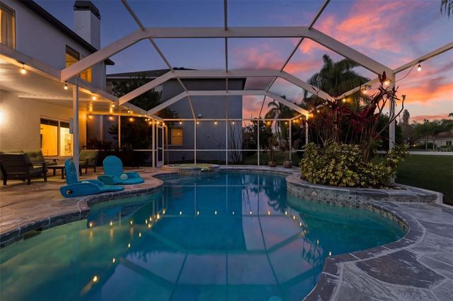 19408 SANDY SPRINGS CIRCLE, Lutz, FL 33558